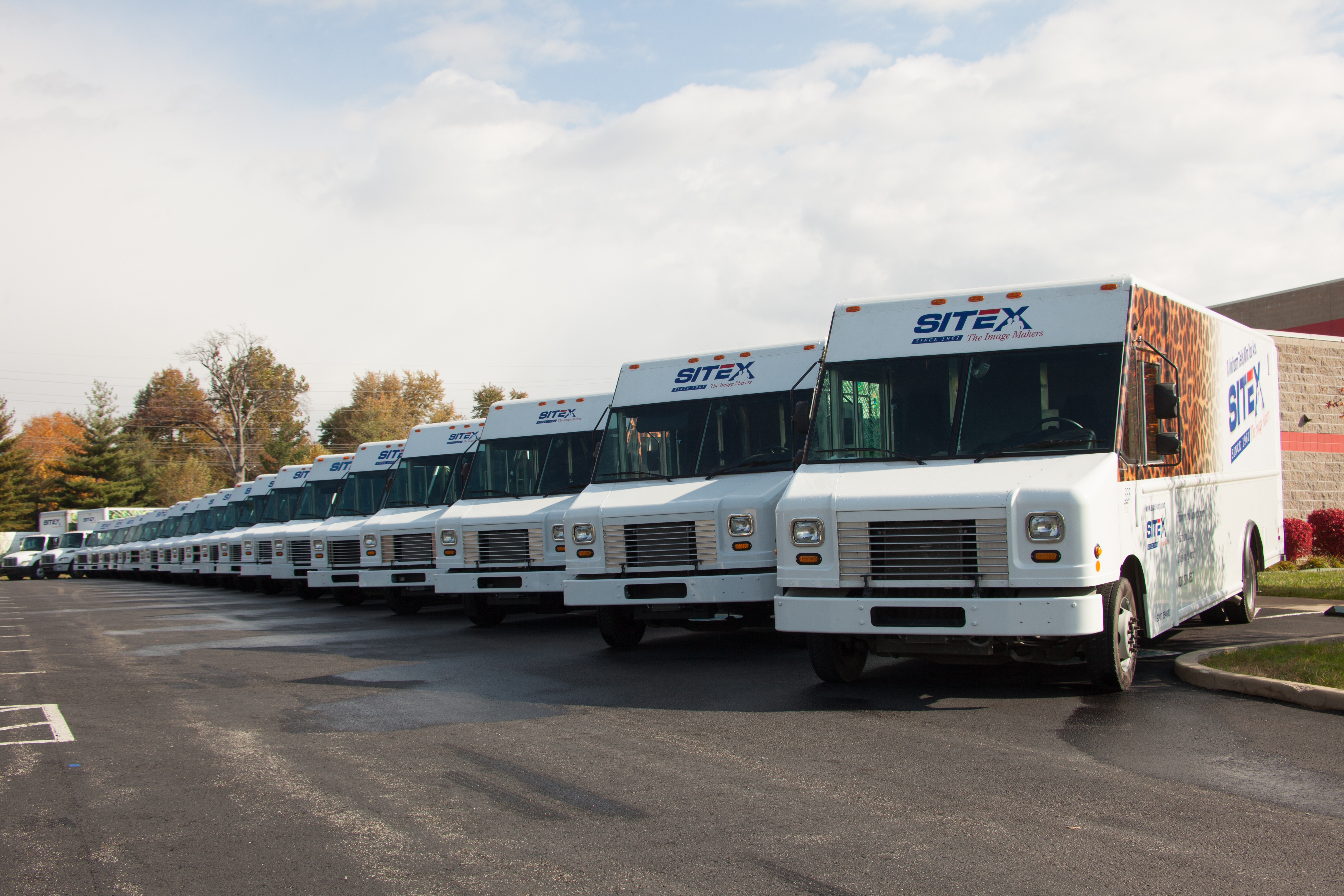 a fleet of sitex trucks